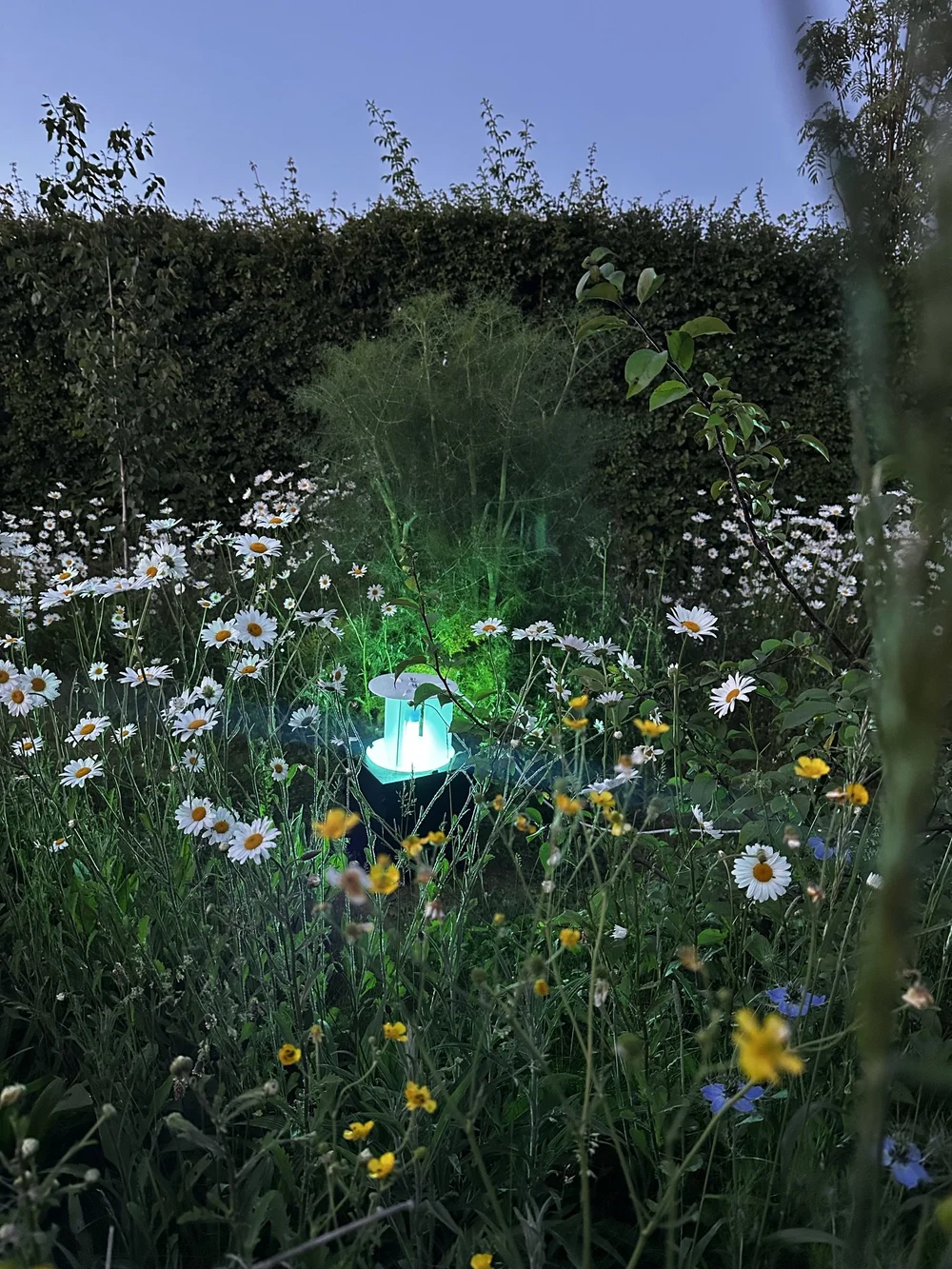 UV08 Compact 20w Heath Moth Trap Kit — ALS - Anglian Lepidopterist